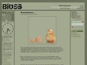 Blog from scratch, no CMS